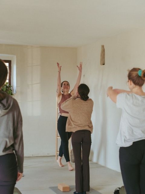 Mango Yoga Collective - Community di Yoga per Studenti & Insegnanti - TORINO