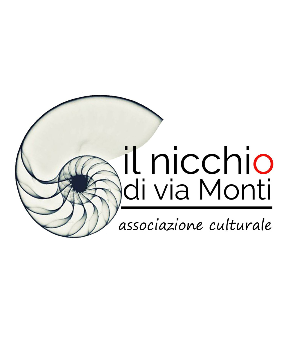 Il Nicchio di Via Monti - Laboratorio Ceramica