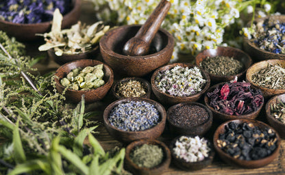 La Betulla - Erboristeria